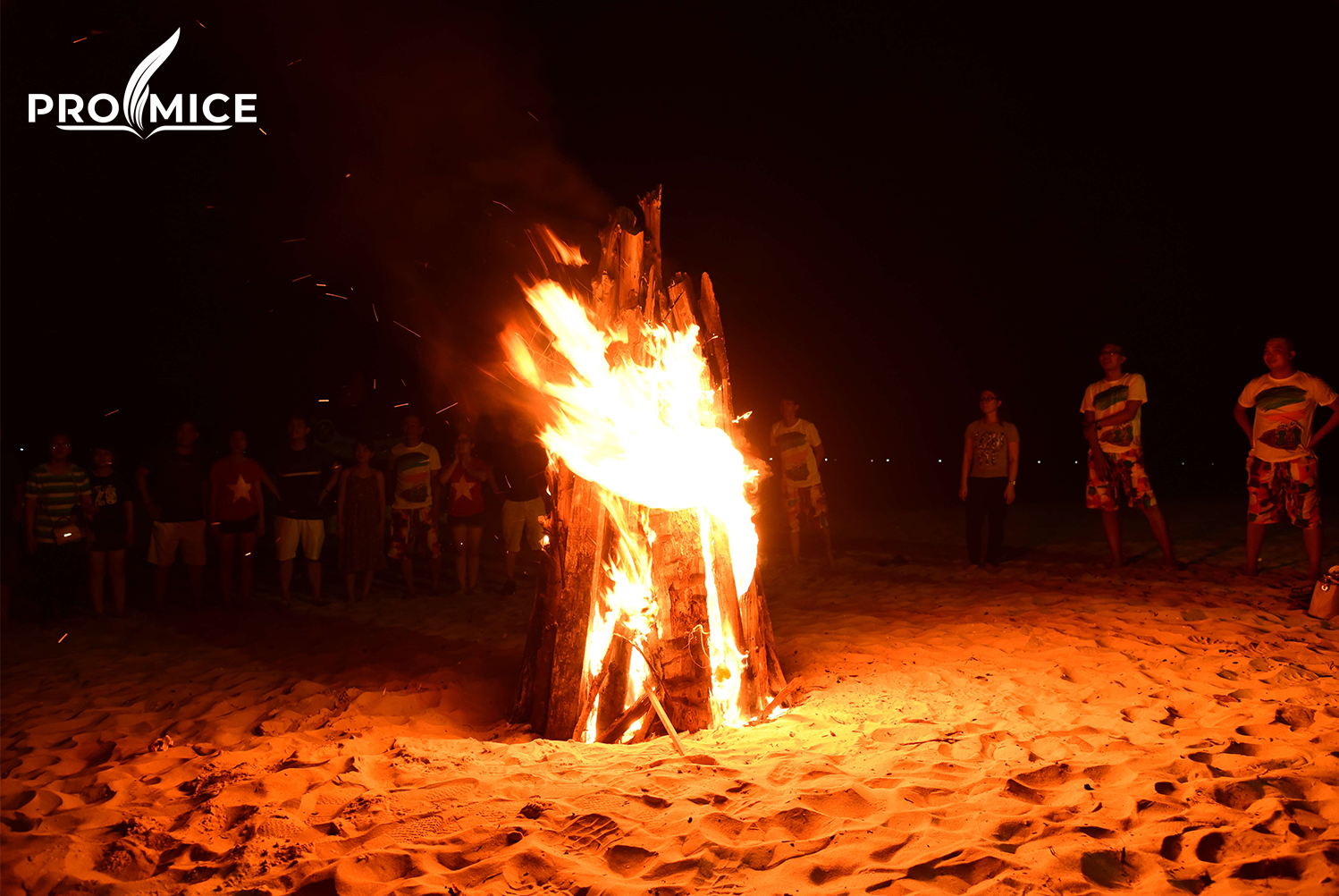 PHÂN LOẠI CÁC LOẠI HÌNH TEAMBUILDING PHỔ BIẾN HIỆN NAY CHO DOANH NGHIỆP